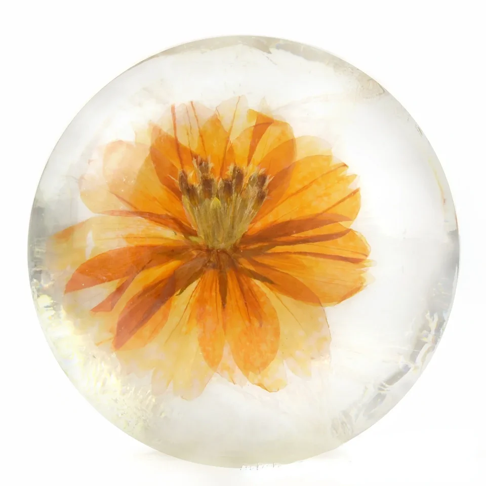 6 PACK Amino Acid Flower Handmade Soap 80g X 6PCS Amino Soap Transparent Real Flower in It Soap Combo Sale Soaps - Image 2