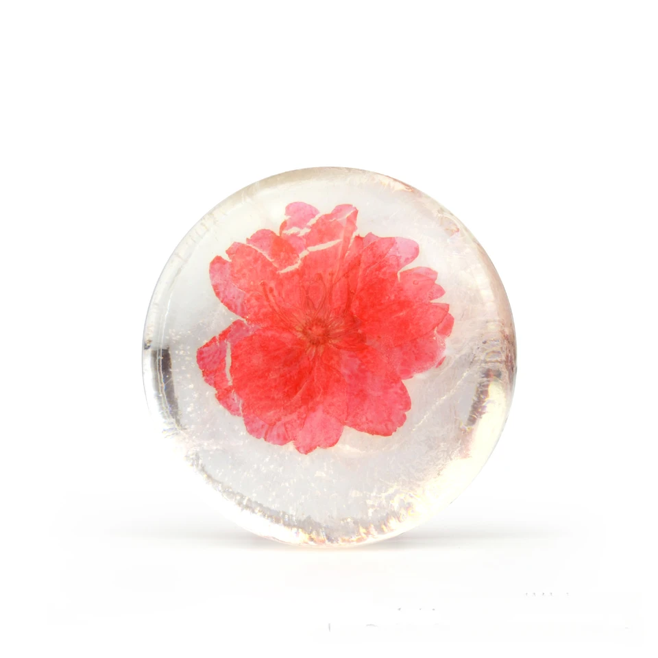 6 PACK Amino Acid Flower Handmade Soap 80g X 6PCS Amino Soap Transparent Real Flower in It Soap Combo Sale Soaps - Image 3