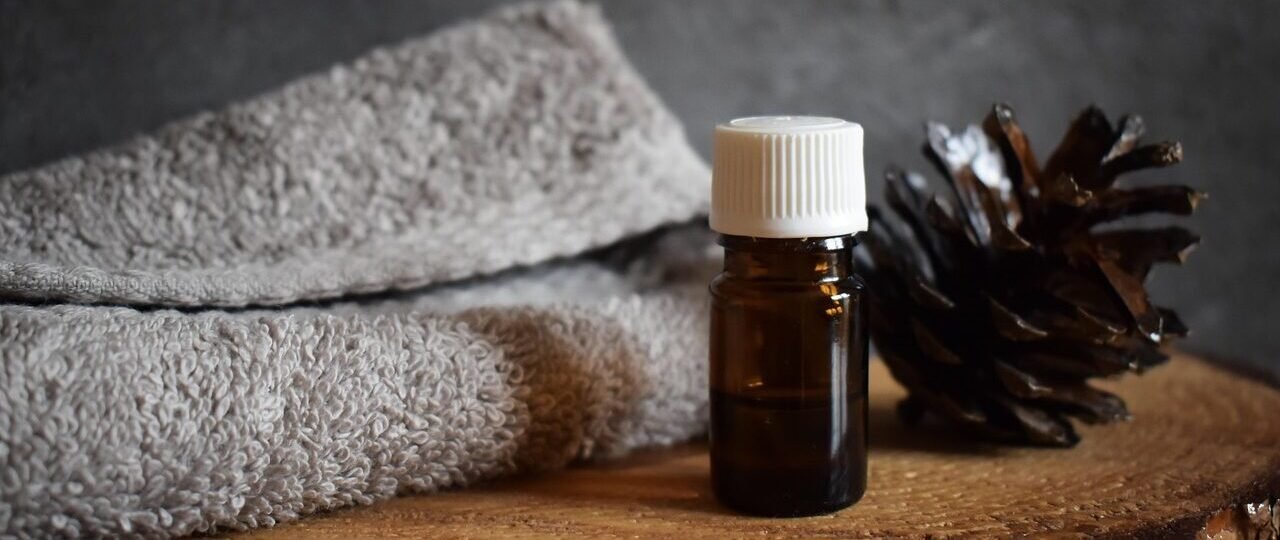 tree, essential oil, nature, cone, aromatherapy, essential, oil
