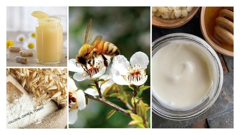 Organic Manuka Honey & Royal Jelly Lotion with Colloidal Oatmeal | Bee-Inspired Face and Body Moisturizer | For All Ages and Skin Types - Image 2